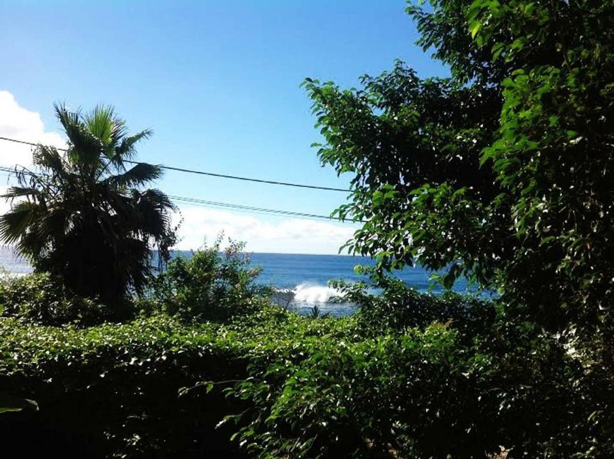 Charming 2Br Guest Suite With Ocean View Praia Exterior foto